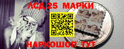 гидропоника Котовск