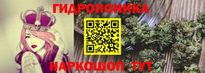 прущие крисы Кохма