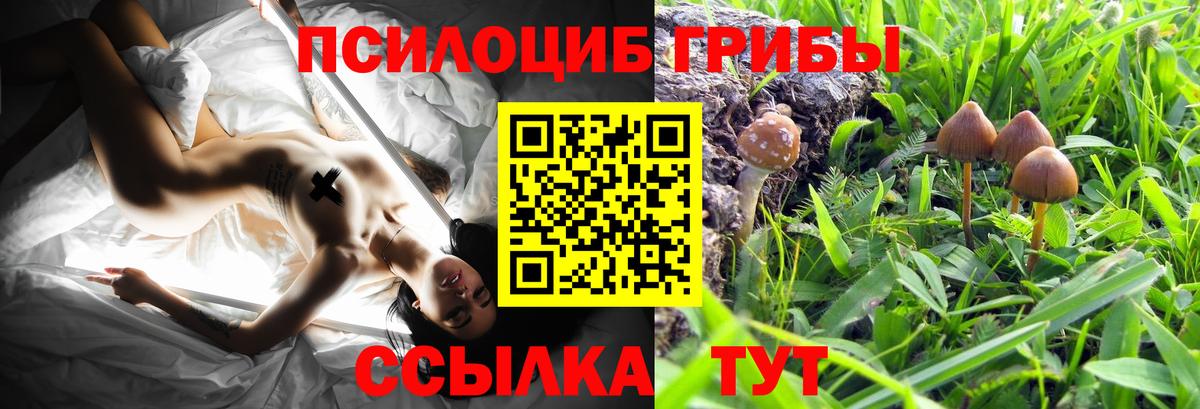 Псилоцибиновые грибы MAGIC MUSHROOMS Белебей