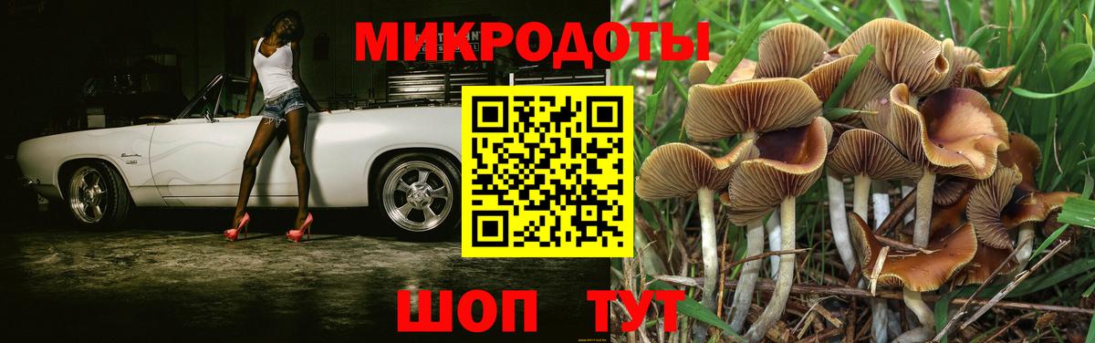 Галлюциногенные грибы Psilocybe  Вход с VPN  Белебей 